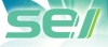 SEI-LinkedIn-Logo-color